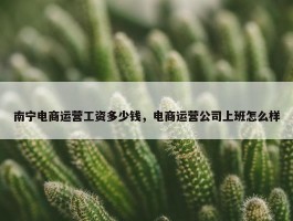 南宁电商运营工资多少钱，电商运营公司上班怎么样