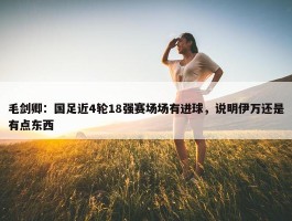 毛剑卿：国足近4轮18强赛场场有进球，说明伊万还是有点东西