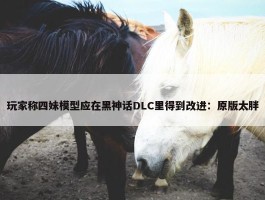 玩家称四妹模型应在黑神话DLC里得到改进：原版太胖