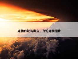 宠物白蛇有毒么，白蛇宠物图片