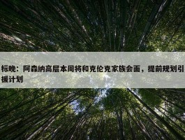 标晚：阿森纳高层本周将和克伦克家族会面，提前规划引援计划