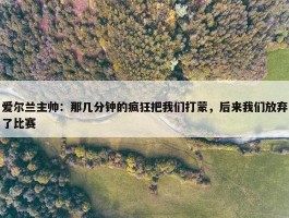 爱尔兰主帅：那几分钟的疯狂把我们打蒙，后来我们放弃了比赛