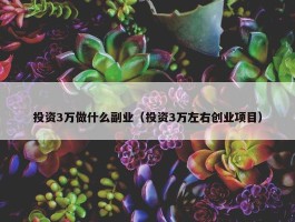 投资3万做什么副业（投资3万左右创业项目）