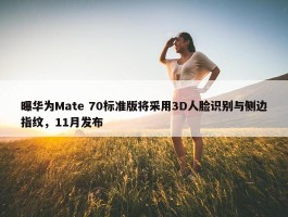 曝华为Mate 70标准版将采用3D人脸识别与侧边指纹，11月发布