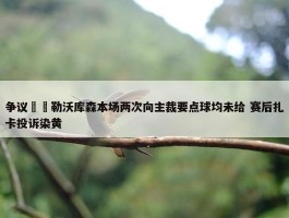 争议❓️勒沃库森本场两次向主裁要点球均未给 赛后扎卡投诉染黄