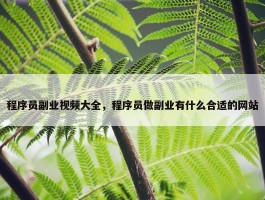 程序员副业视频大全，程序员做副业有什么合适的网站