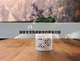 球星在家隔离副业的简单介绍