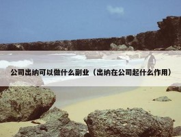 公司出纳可以做什么副业（出纳在公司起什么作用）