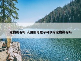 宠物剃毛吗 人用的电推子可以给宠物剃毛吗