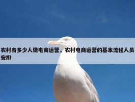 农村有多少人做电商运营，农村电商运营的基本流程人员安排