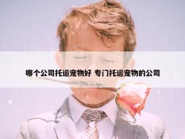 哪个公司托运宠物好 专门托运宠物的公司