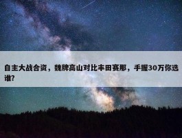 自主大战合资，魏牌高山对比丰田赛那，手握30万你选谁？