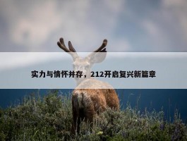 实力与情怀并存，212开启复兴新篇章