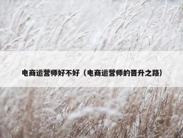 电商运营师好不好（电商运营师的晋升之路）