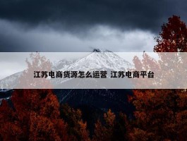 江苏电商货源怎么运营 江苏电商平台