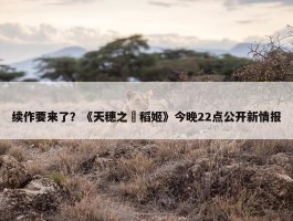 续作要来了？《天穗之咲稻姬》今晚22点公开新情报