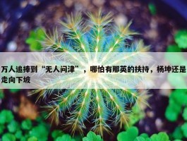 万人追捧到“无人问津”，哪怕有那英的扶持，杨坤还是走向下坡