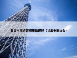 甘肃电商运营哪里做得好（甘肃电商协会）