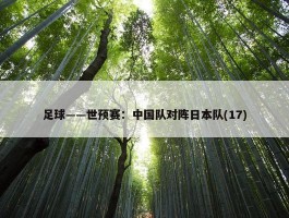 足球——世预赛：中国队对阵日本队(17)