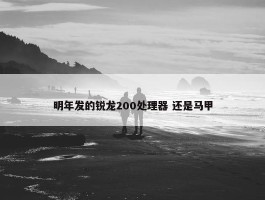 明年发的锐龙200处理器 还是马甲