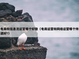 电商和信息流运营哪个好做（电商运营和网络运营哪个待遇好?）