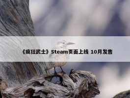 《疯狂武士》Steam页面上线 10月发售