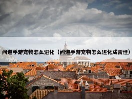 问道手游宠物怎么进化（问道手游宠物怎么进化成雷怪）