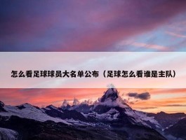 怎么看足球球员大名单公布（足球怎么看谁是主队）