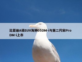 比亚迪A级SUV海狮05DM-i与第二代宋Pro DM-i上市