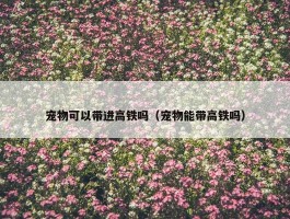 宠物可以带进高铁吗（宠物能带高铁吗）