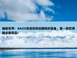 魔兽世界：NAXX双龙团依旧强势的装备，第一款软满破必备极品！