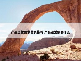 产品运营要求做表格吗 产品运营需要什么