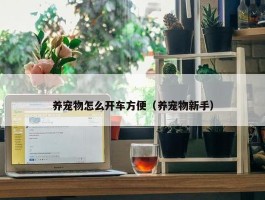 养宠物怎么开车方便（养宠物新手）