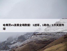 哈弗茨vs波黑全场数据：1进球，1助攻，1次关键传球