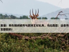 离谱！养伤期间被传与凯特王妃私奔，马拉西亚：这些传言都假的！