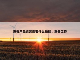 惠普产品运营需要什么技能，惠普工作