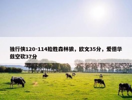 独行侠120-114险胜森林狼，欧文35分，爱德华兹空砍37分