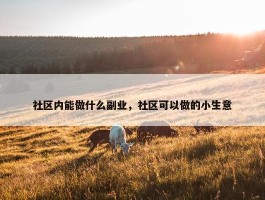 社区内能做什么副业，社区可以做的小生意