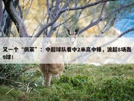 又一个“佩莱”：中超球队看中2米高中锋，波超8场轰9球！