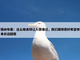 格纳布里：这么晚丢球让人很难过，我们踢得很好希望带来长远回报