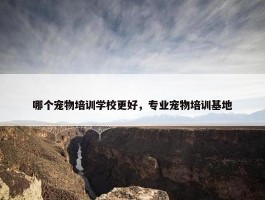 哪个宠物培训学校更好，专业宠物培训基地