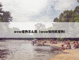 wow宠物怎么抓（wow如何抓宠物）