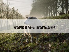 宠物药箱里有什么 宠物药有监管吗