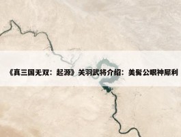 《真三国无双：起源》关羽武将介绍：美髯公眼神犀利