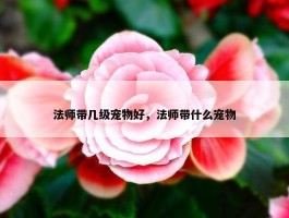 法师带几级宠物好，法师带什么宠物