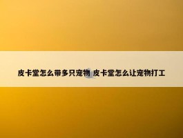 皮卡堂怎么带多只宠物 皮卡堂怎么让宠物打工