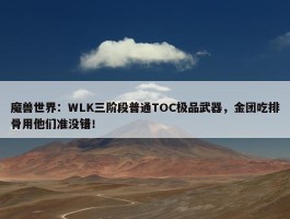 魔兽世界：WLK三阶段普通TOC极品武器，金团吃排骨用他们准没错！