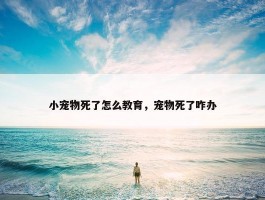 小宠物死了怎么教育，宠物死了咋办