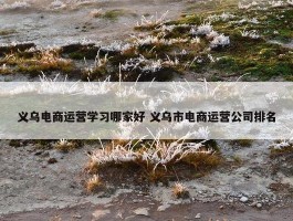 义乌电商运营学习哪家好 义乌市电商运营公司排名