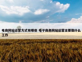 电商网站运营方式有哪些 电子商务网站运营主要做什么工作